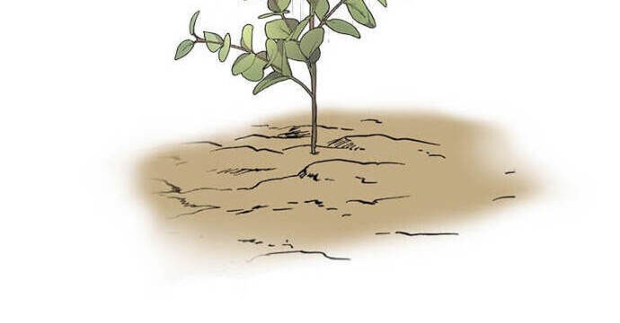 1st Year Max Level Manager Chapter 36 Gambar 7