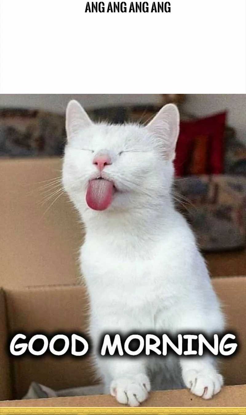 A Hero Who Does Everything Well Chapter 17 Gambar 73