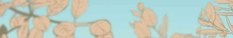 After Ditching the Tyrannical Saintess Who Was Also My Childhood Friend, Everything Fell Into Place and I Became the Top Adventurer Chapter 1 Gambar 50