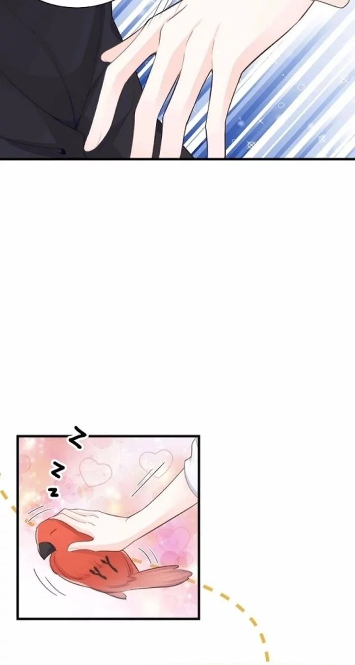 Ancestor is beautiful and elegant Chapter 37 Gambar 10