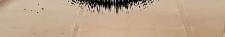 Ancestor of The Gods Chapter 75 Gambar 41