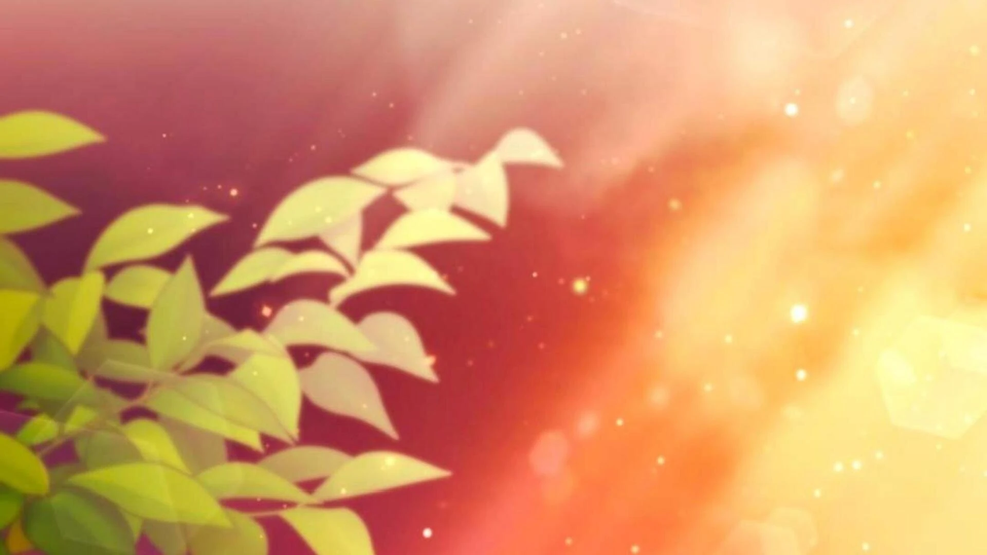 Black Killer Whale Baby Chapter 70 Gambar 140