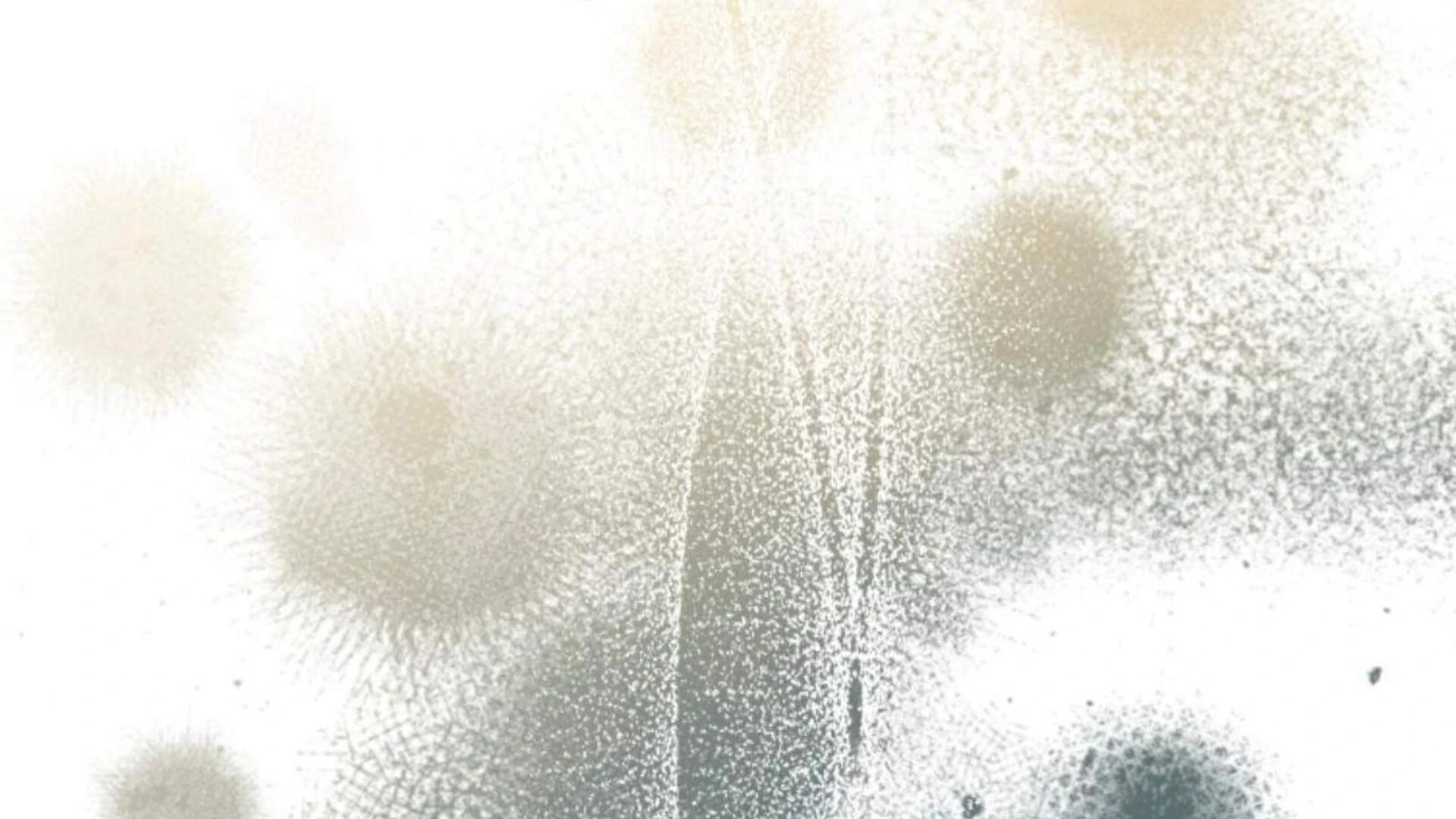 Black Killer Whale Baby Chapter 76 Gambar 220