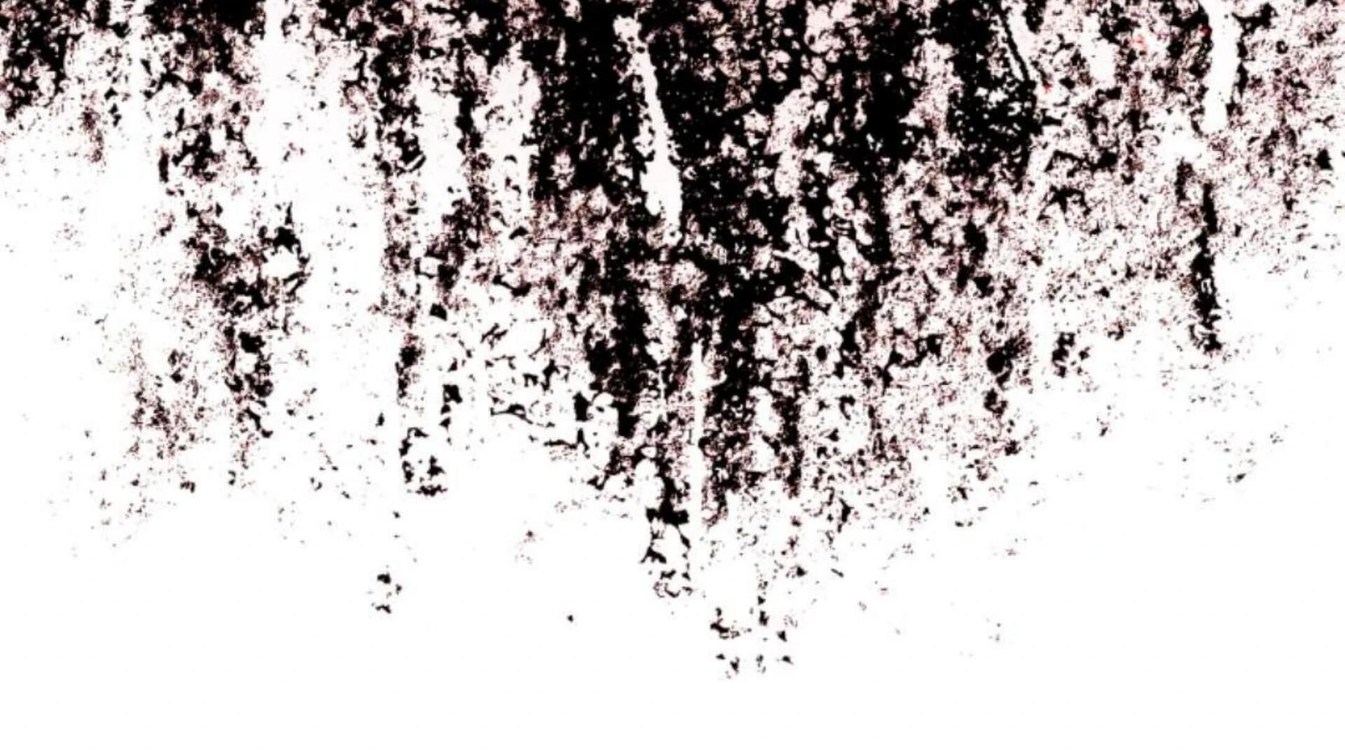 Black Killer Whale Baby Chapter 76 Gambar 368