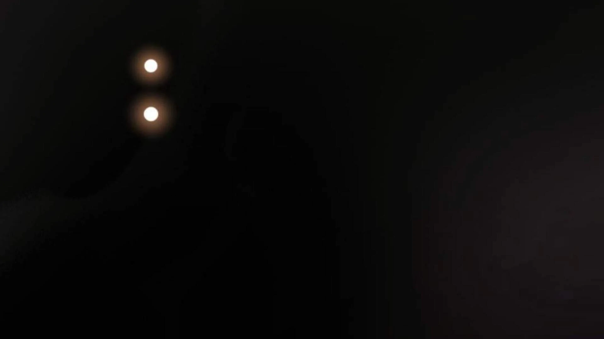 Black Killer Whale Baby Chapter 78 Gambar 176