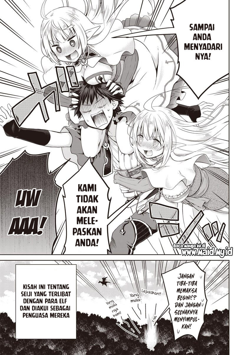 Dakara Katte Ni Yusha Toka Hao Ni Nintei Sun No Yamero Yo! Elf Zoku Mo Kokuo Sama Mo Hirefusu Hodo Ore Ha Idaina Yakuwarirashi Chapter 1 Gambar 5