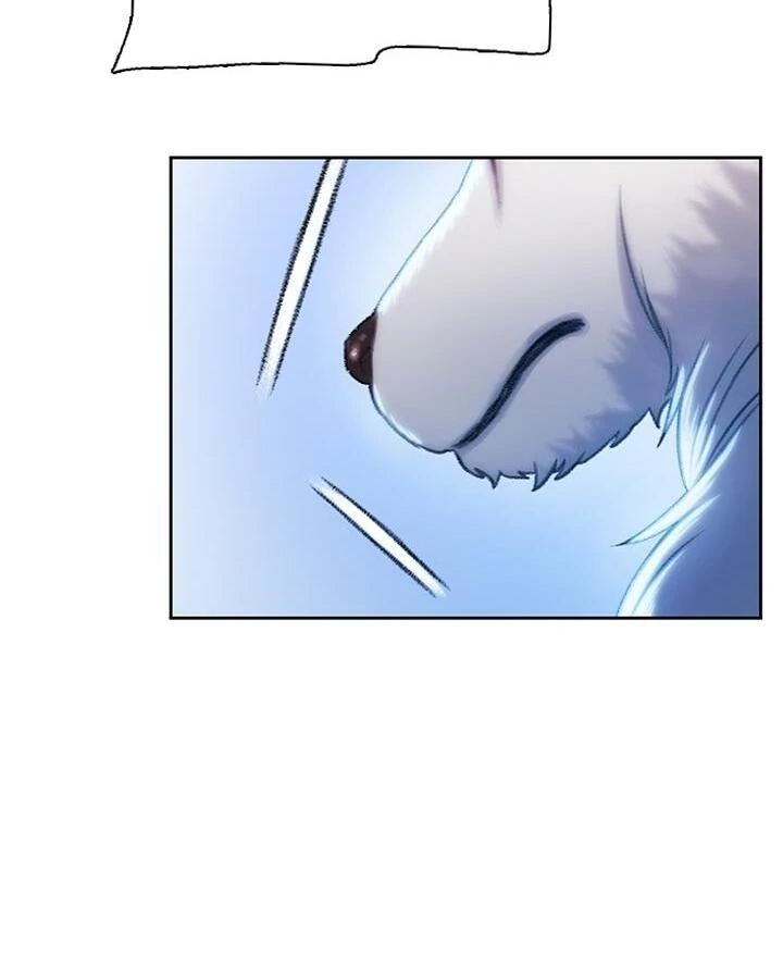 Dark Moon: The Grey City Chapter 20 Gambar 144