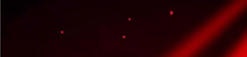 Dig or Die Chapter 13 Gambar 41