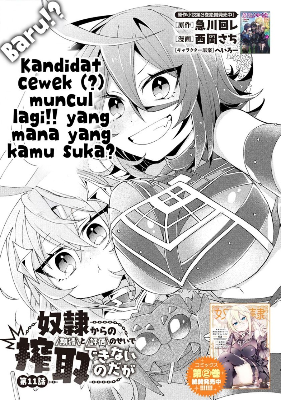 Baca Manga Dorei kara no Kitai to Hyouka no sei de Sakushu dekinai no daga Chapter 11 Gambar 2