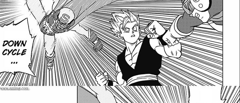 Dragon Ball Super Chapter 102 Gambar 45