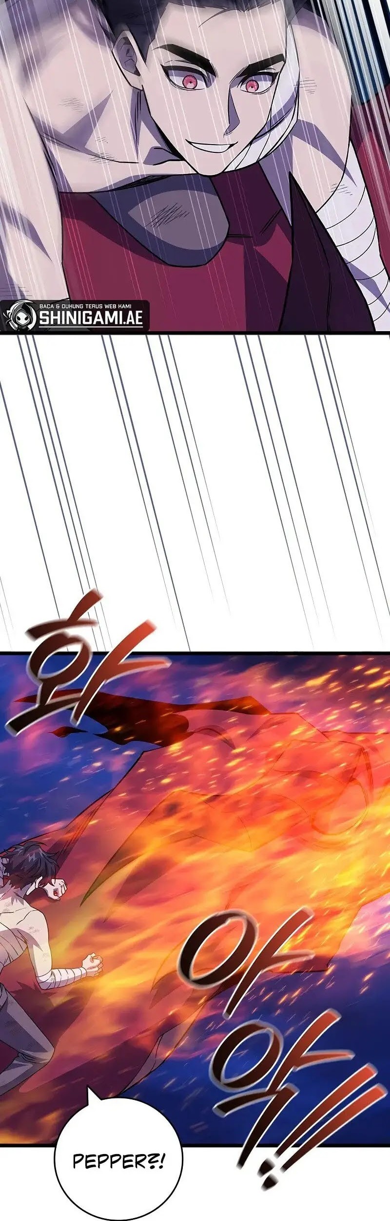 Dragon-Devouring Mage Chapter 98 Gambar 41