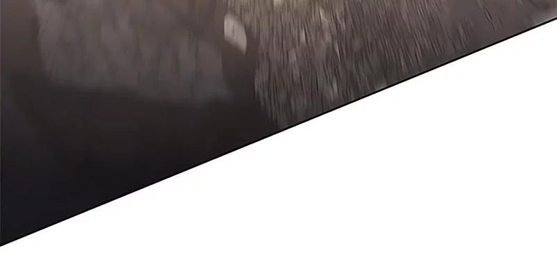 Eleceed Chapter 372 Gambar 6