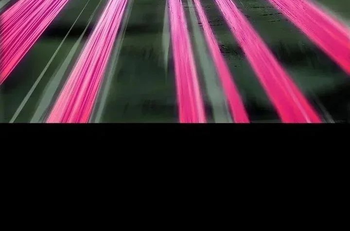 Elephant Invisible Chapter 200 Gambar 22