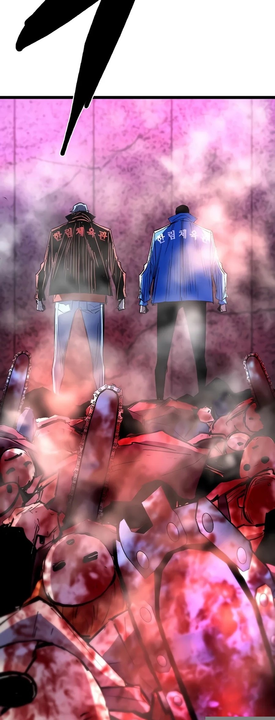 Hallym Gymnasium Chapter 228 Gambar 161