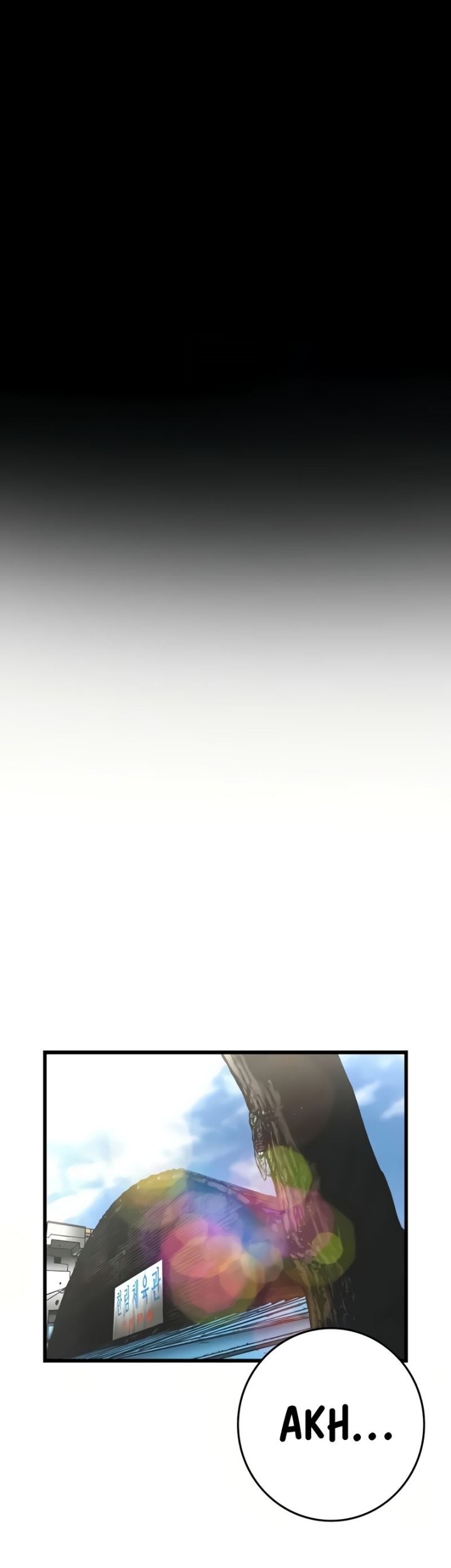 Baca Komik Hallym Gymnasium Chapter 239 Gambar 1