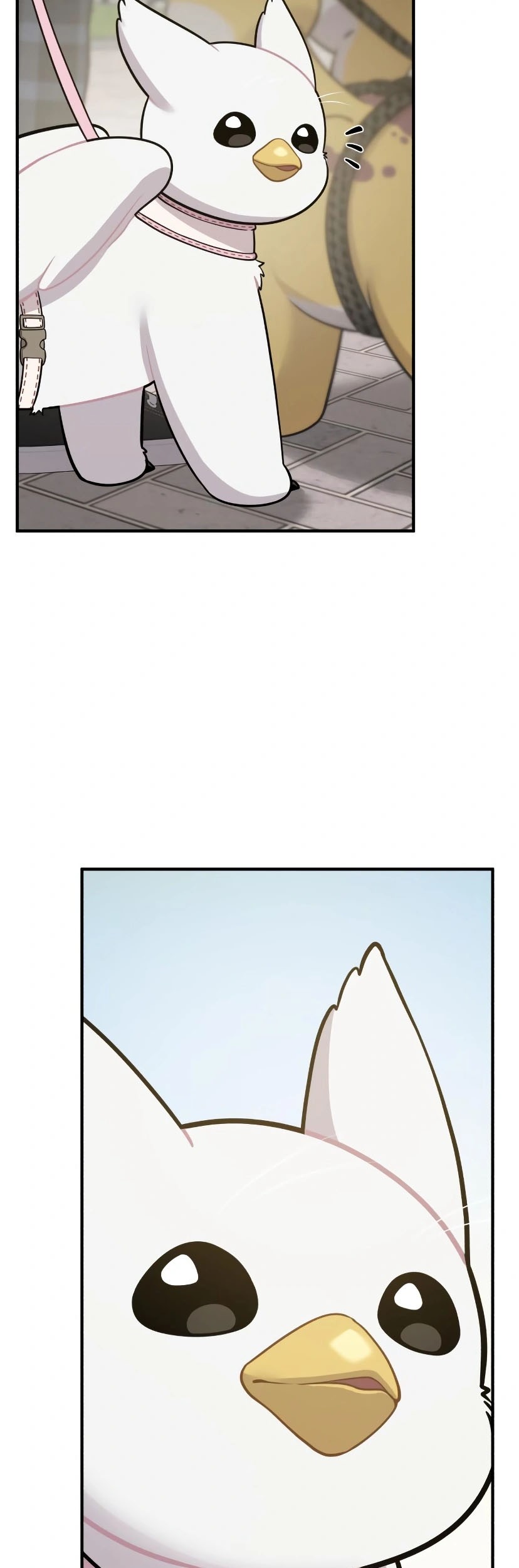 Hello, Fluffy Griffin! Chapter 7 Gambar 19