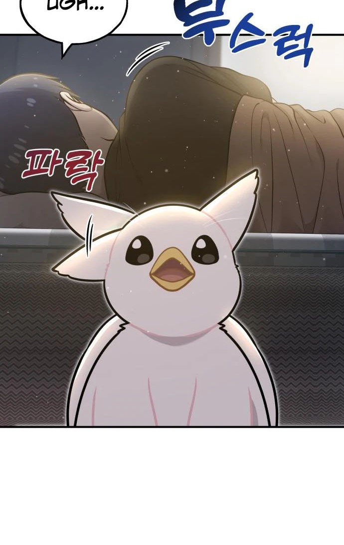 Hello, Fluffy Griffin! Chapter 8 Gambar 4