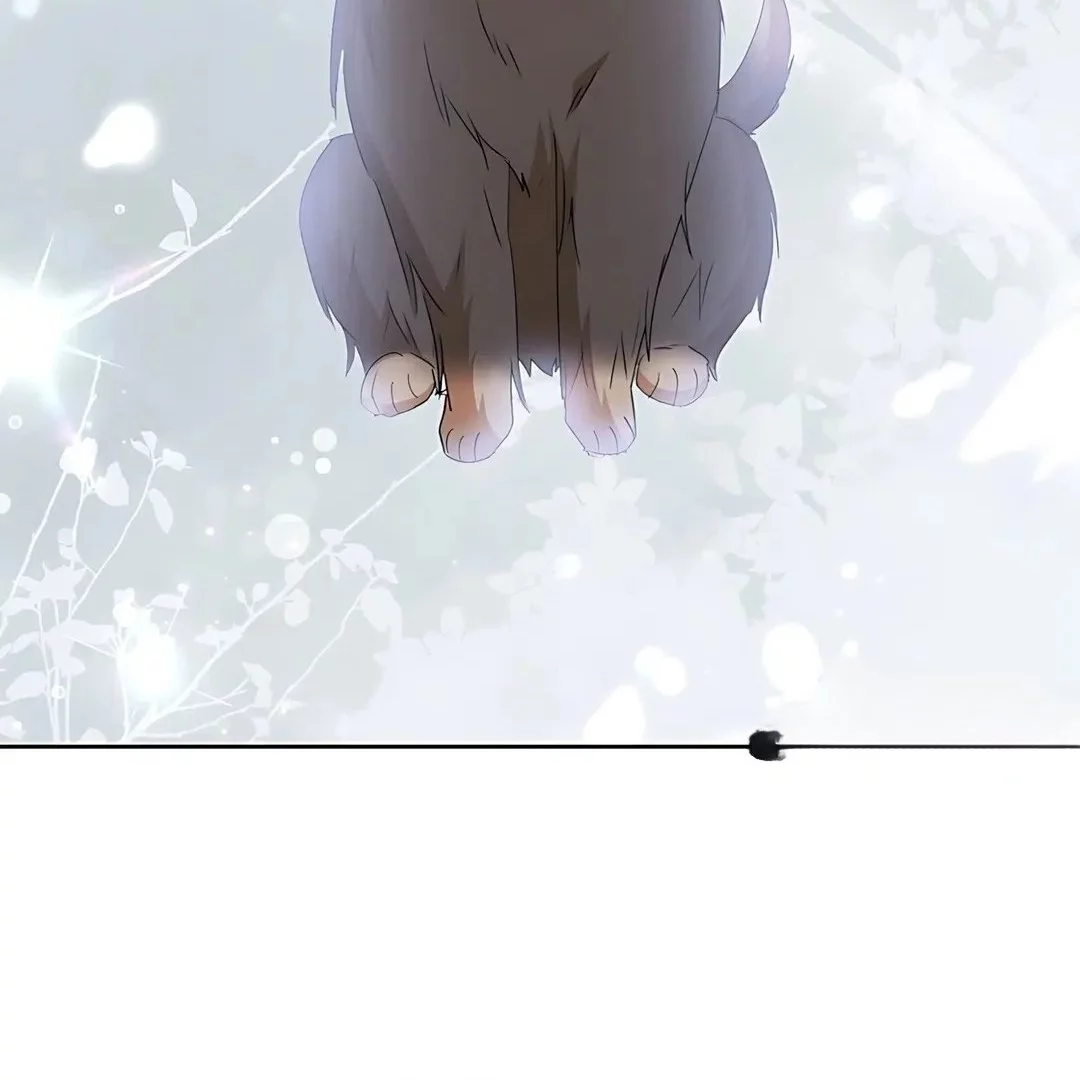 Hello? Veterinarian! Chapter 103 Gambar 33