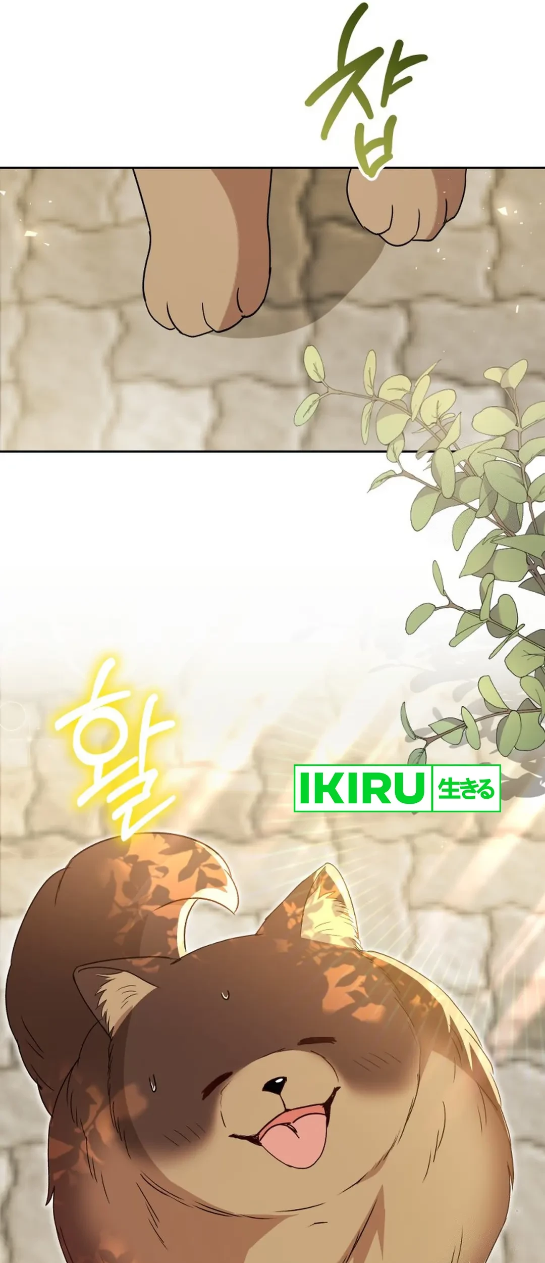 Hello? Veterinarian! Chapter 91 Gambar 57