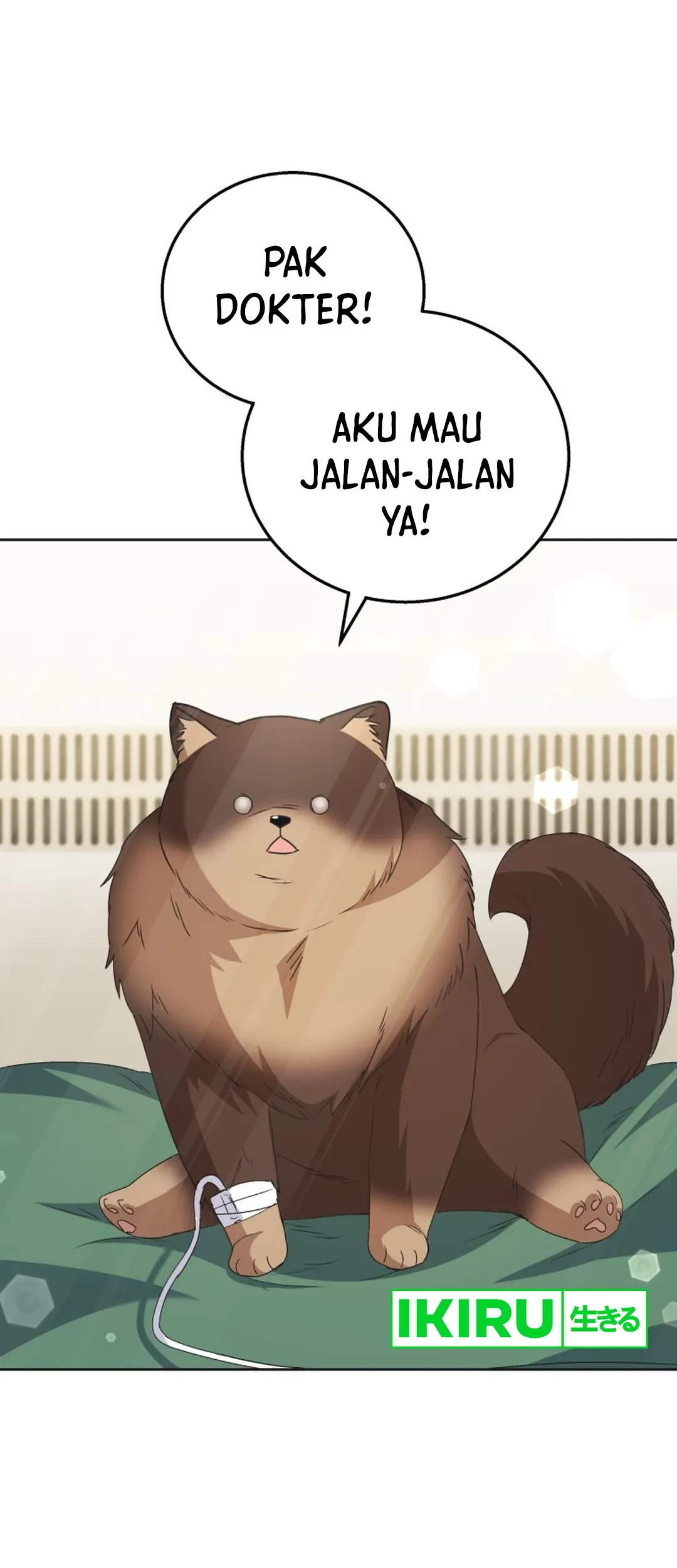 Baca  Hello? Veterinarian! Chapter 91 Gambar 2
