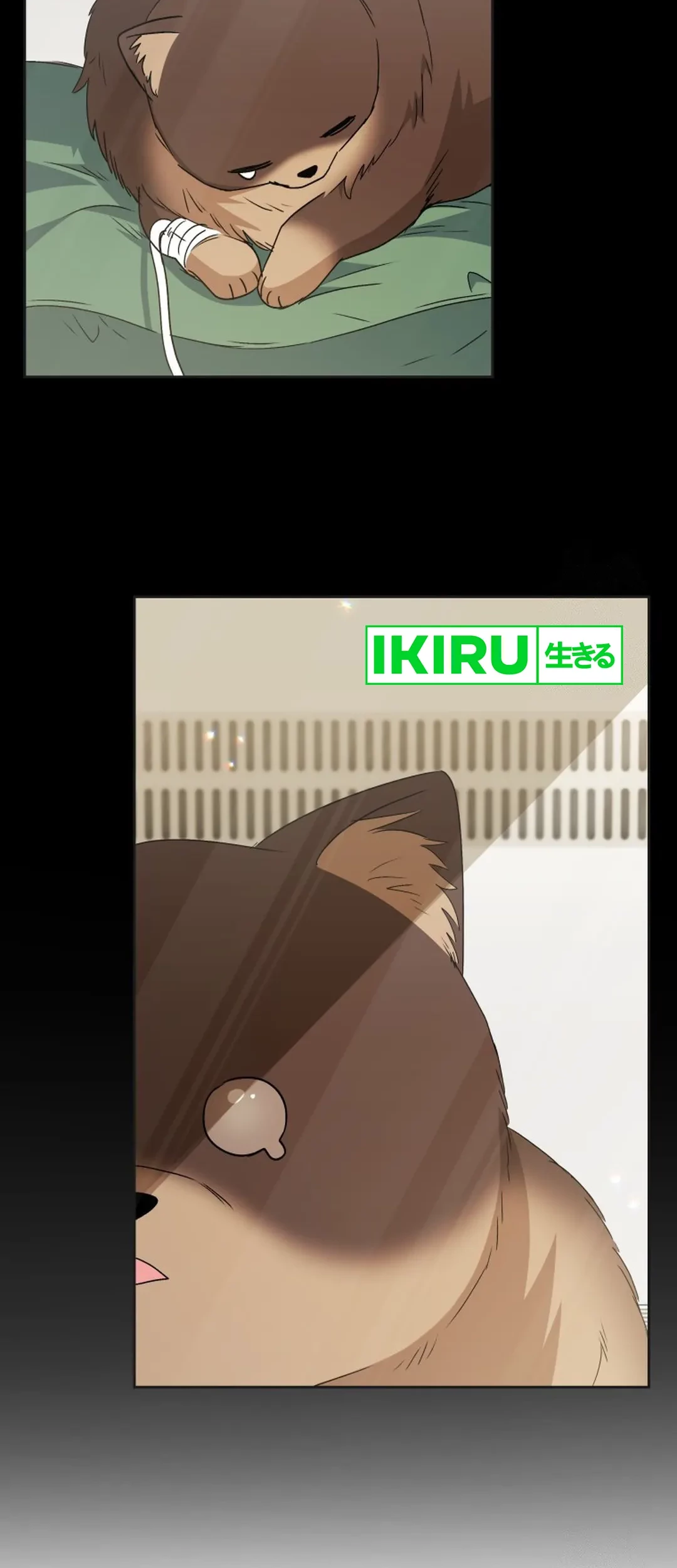 Hello? Veterinarian! Chapter 91 Gambar 8