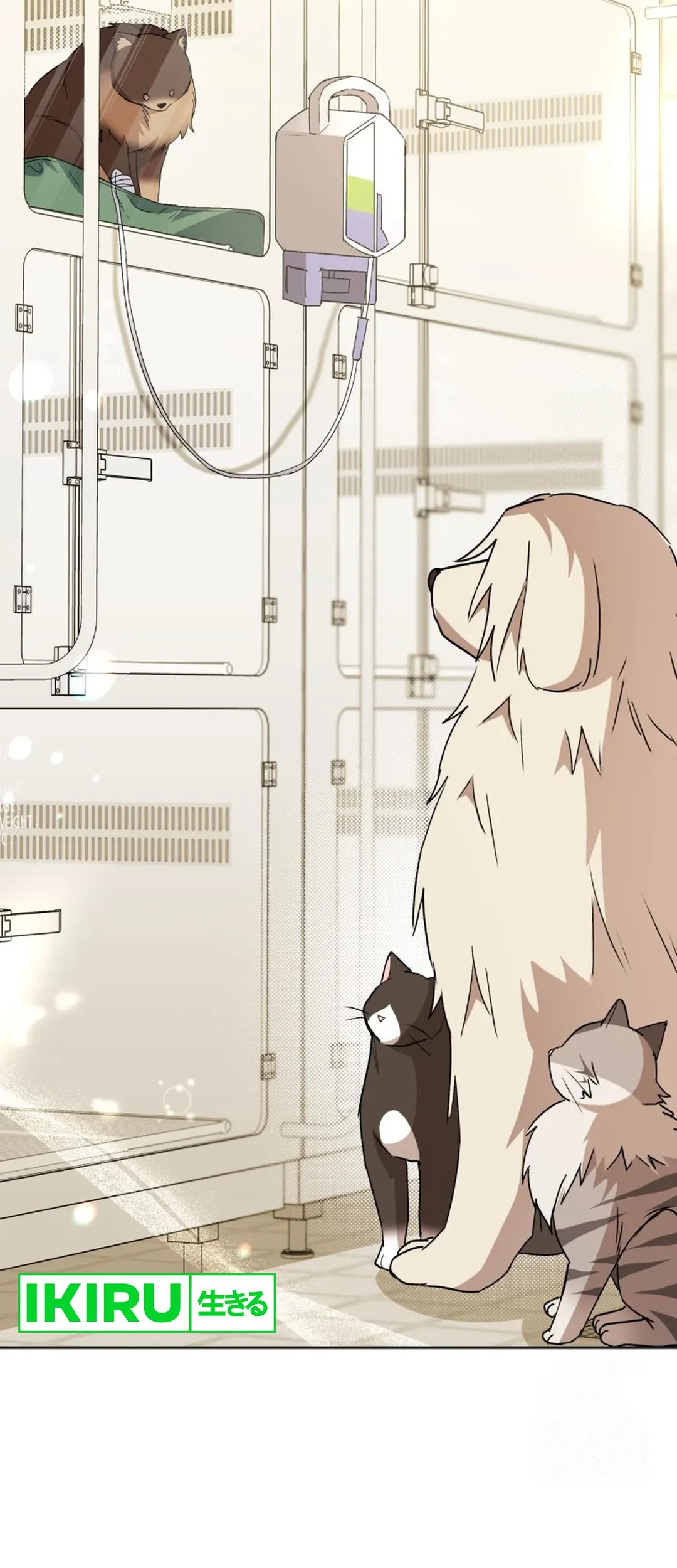 Hello? Veterinarian! Chapter 91 Gambar 10