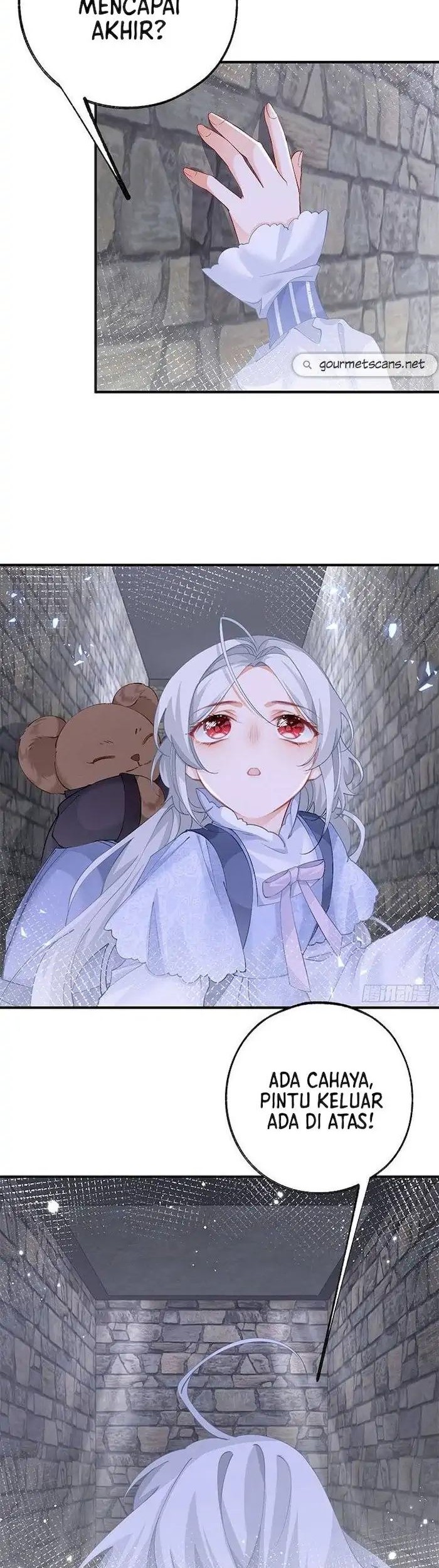 I Became the Sacrificial Princess Chapter 35 Gambar 11