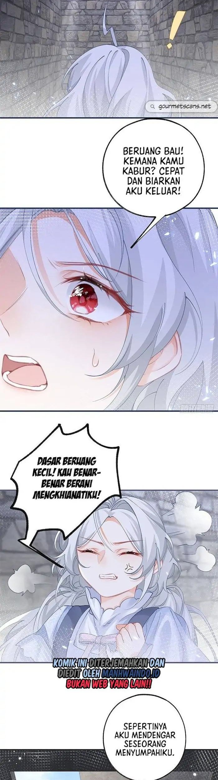 I Became the Sacrificial Princess Chapter 35 Gambar 14