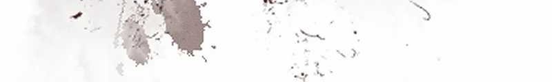 Insector Chapter 39 Gambar 50