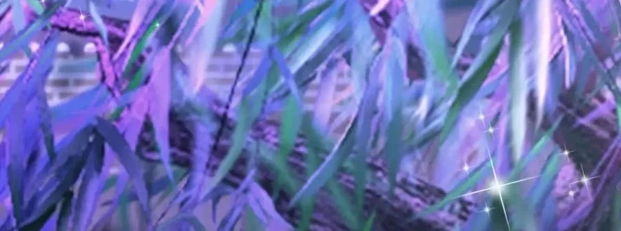 It Turns Out That I Have Been Invincible For A Long Time Chapter 224 Gambar 10