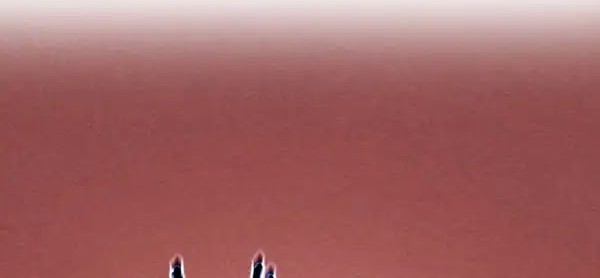 Kami no Tekigousha: God of Infected Chapter 25 Gambar 22