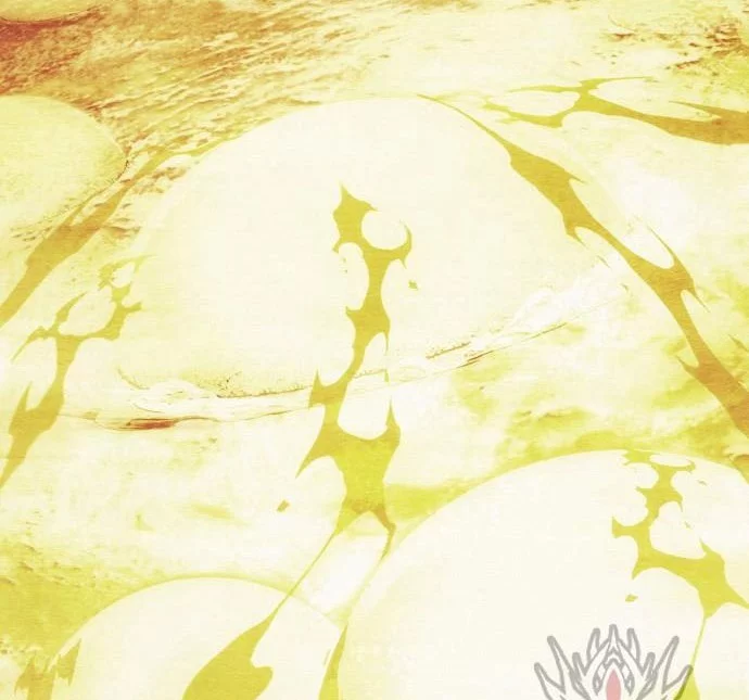 Kill The Dragon Chapter 164 Gambar 28