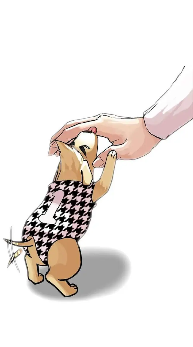 Lookism Chapter 70 Gambar 40