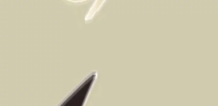 Memoir Of The King Of War Chapter 224 Gambar 11