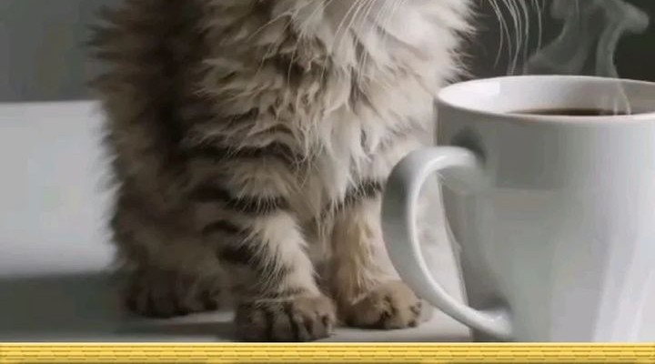 My Female Apprentices Are All Big Shots From the Future Chapter 353 Gambar 36