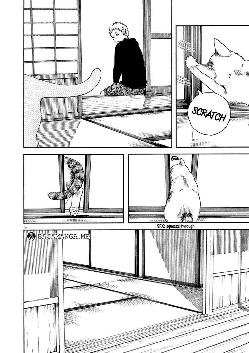 Neko no Otera no Chion-san Chapter 6 Gambar 12