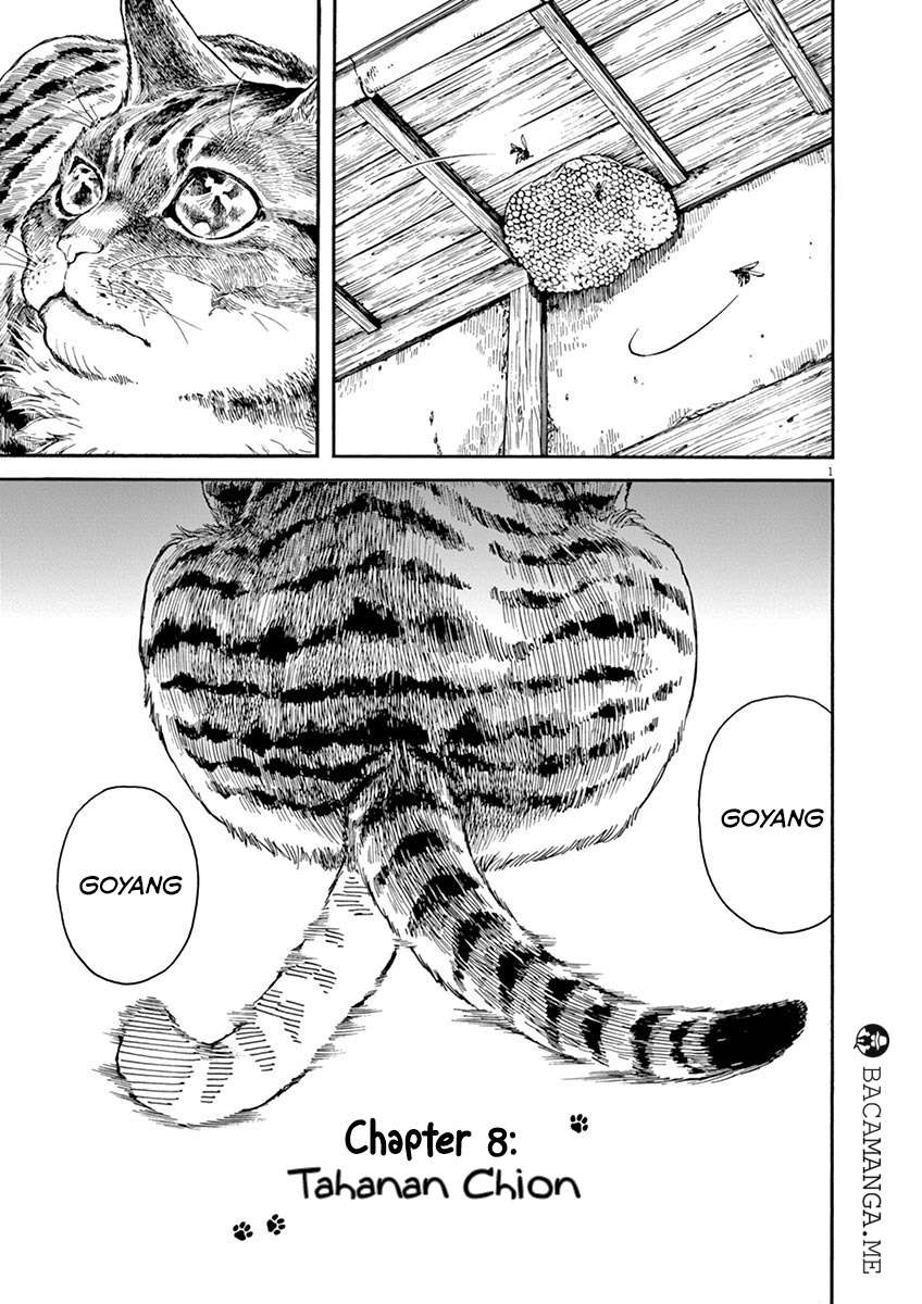 Baca  Neko no Otera no Chion-san Chapter 8 Gambar 2