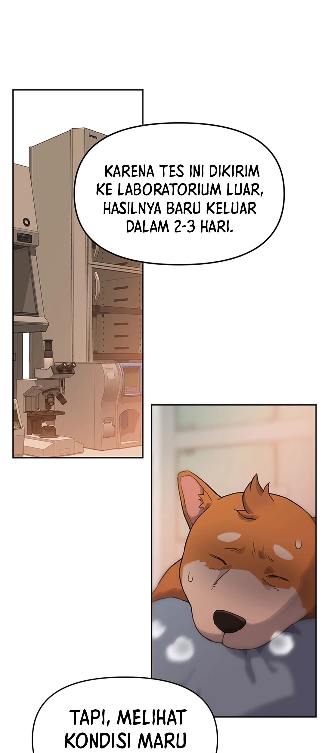 Rainbow Bridge Watchman Chapter 10 Gambar 50