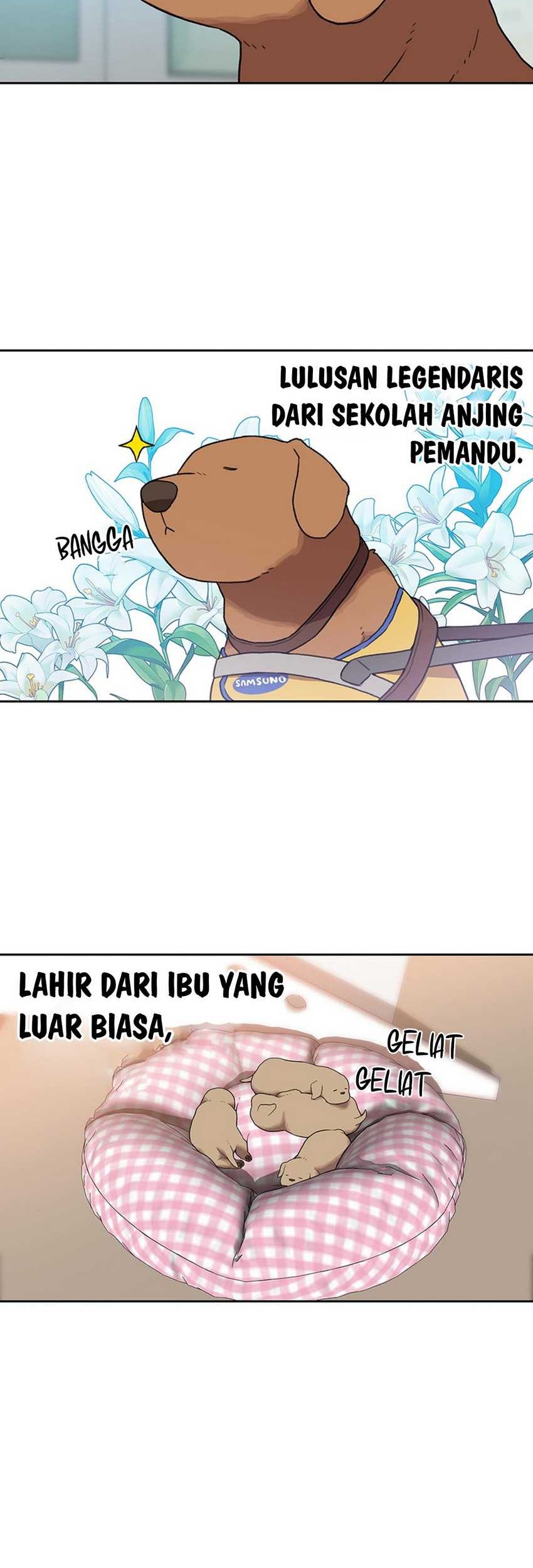 Rainbow Bridge Watchman Chapter 104 Gambar 15