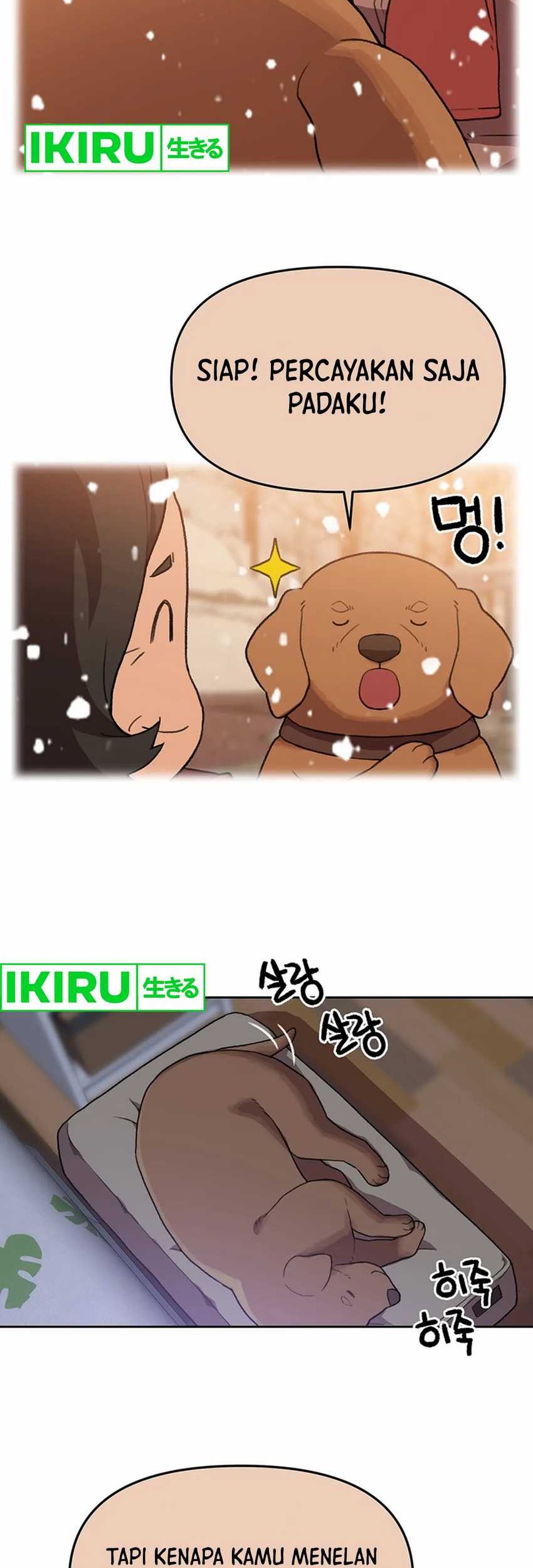 Rainbow Bridge Watchman Chapter 105 Gambar 11
