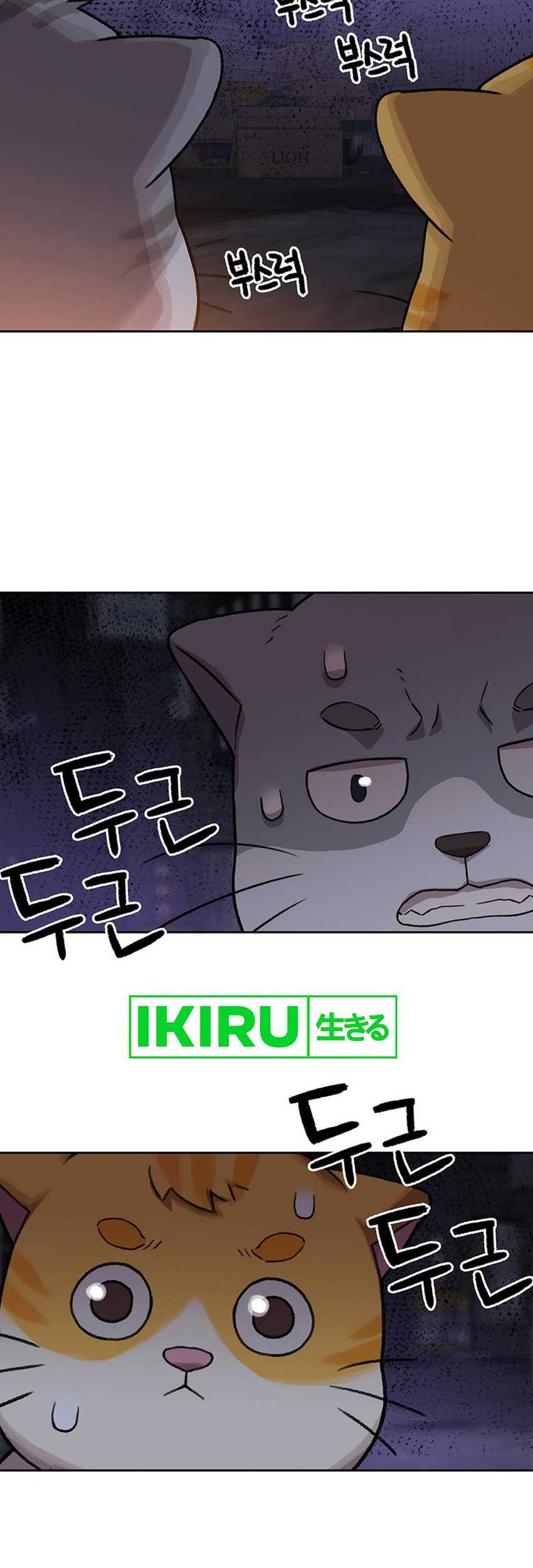 Rainbow Bridge Watchman Chapter 108 Gambar 28