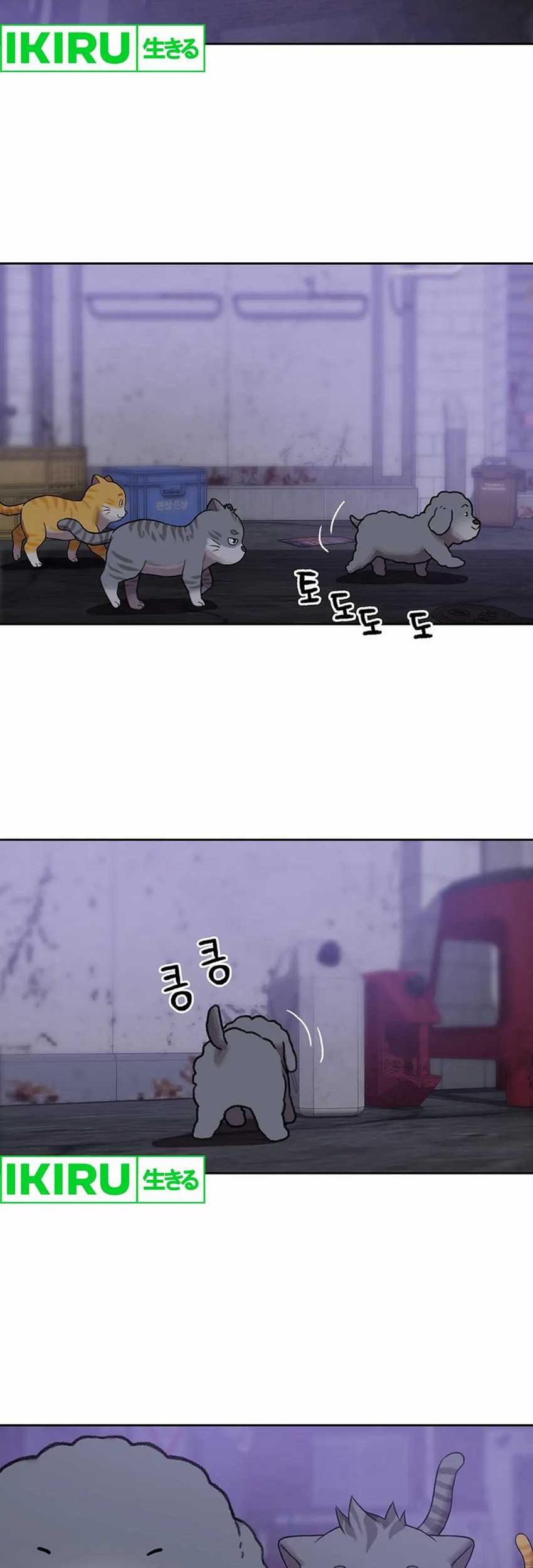 Rainbow Bridge Watchman Chapter 109 Gambar 5