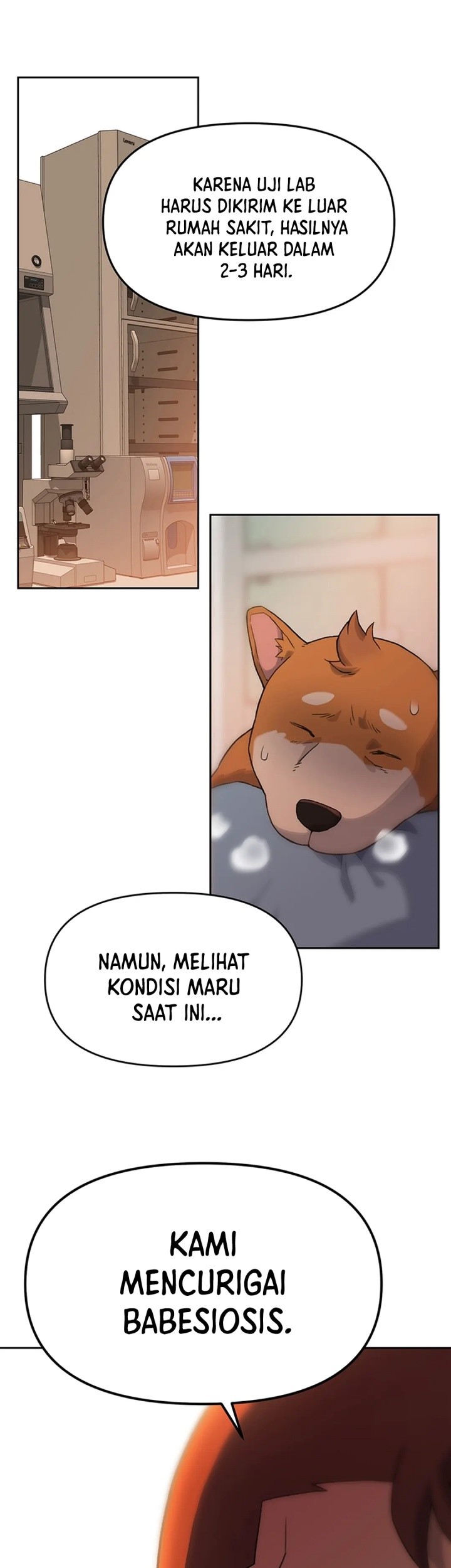 Baca  Rainbow Bridge Watchman Chapter 11 Gambar 2