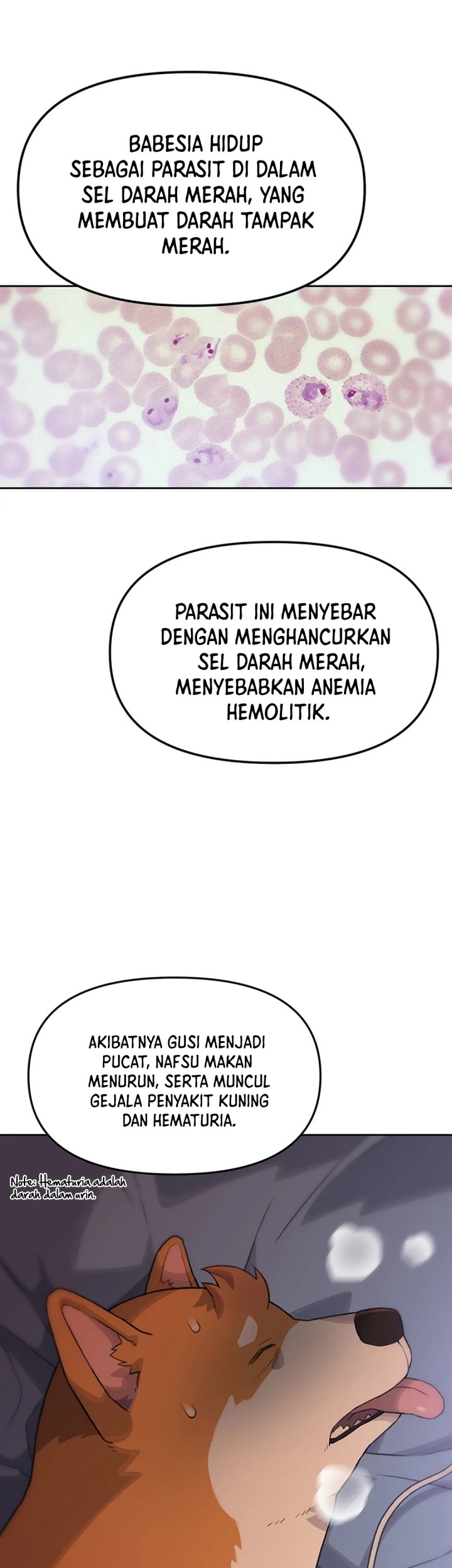 Rainbow Bridge Watchman Chapter 11 Gambar 6