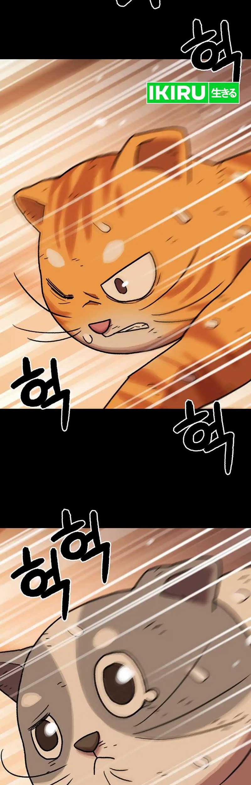 Rainbow Bridge Watchman Chapter 137 Gambar 42