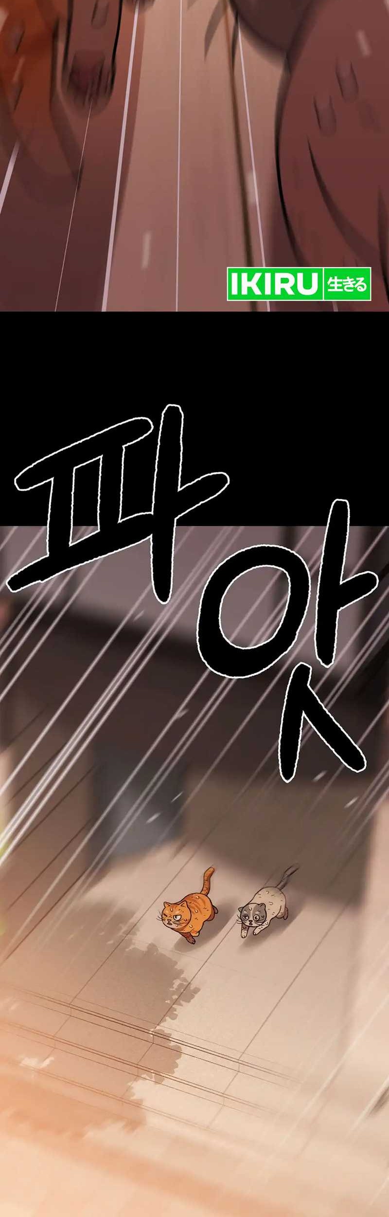 Rainbow Bridge Watchman Chapter 137 Gambar 44