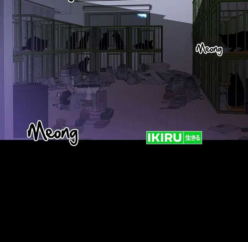 Rainbow Bridge Watchman Chapter 137 Gambar 26