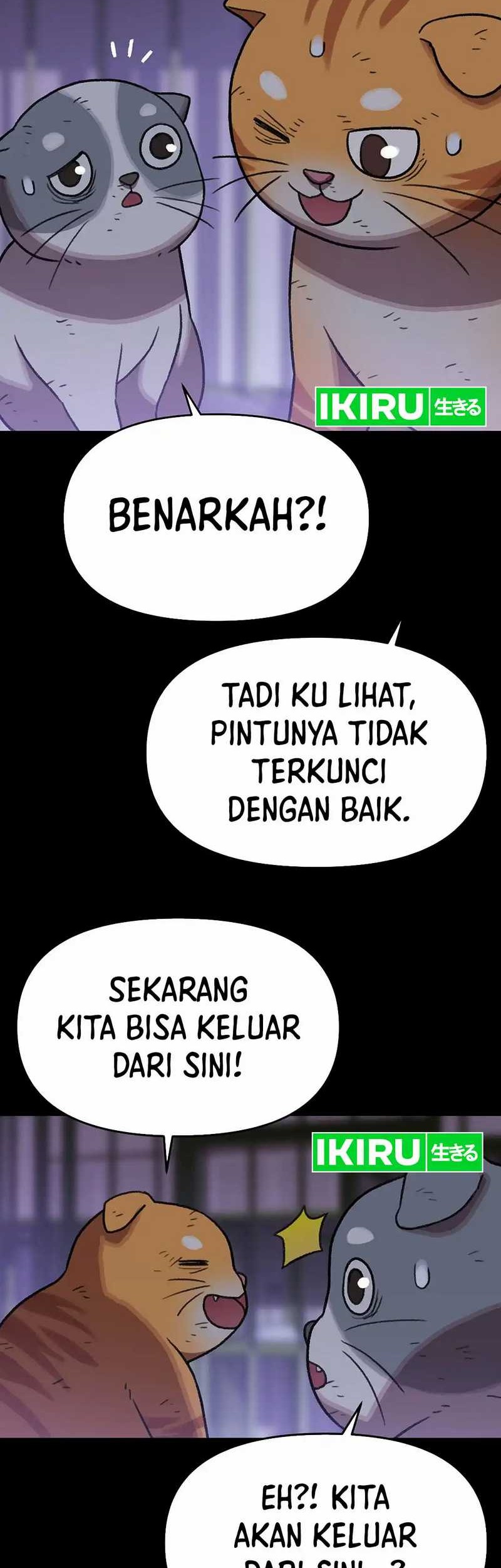 Rainbow Bridge Watchman Chapter 137 Gambar 28