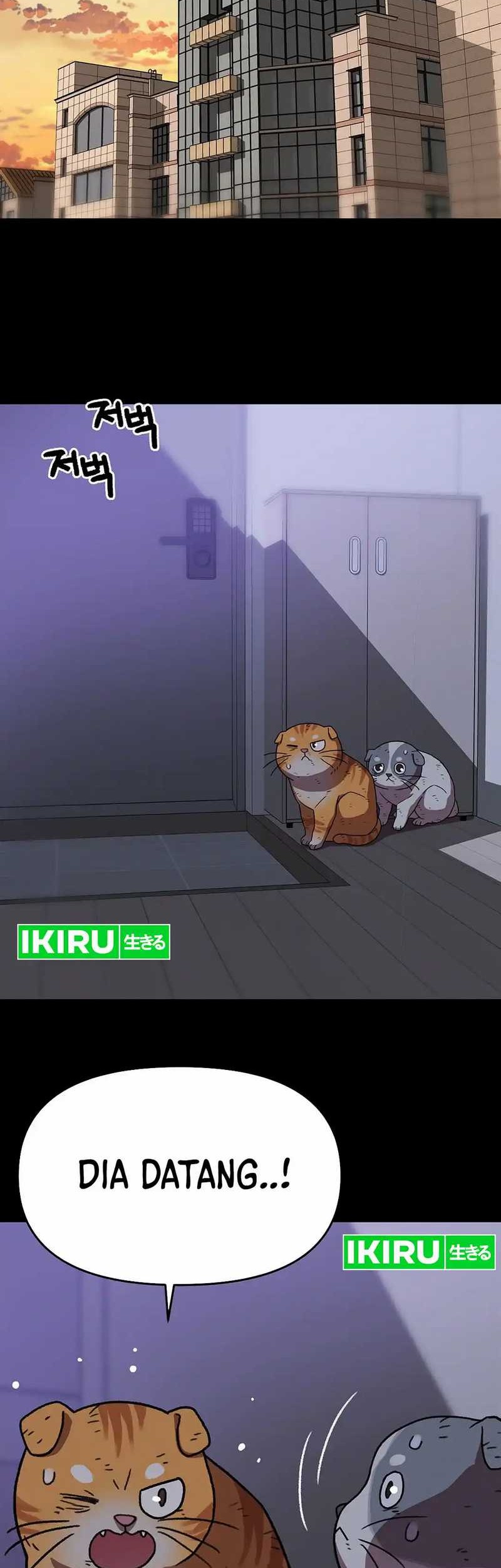 Rainbow Bridge Watchman Chapter 137 Gambar 33