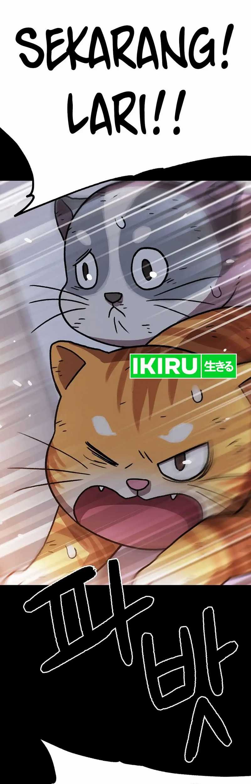 Rainbow Bridge Watchman Chapter 137 Gambar 37